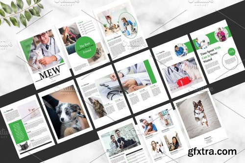 CreativeMarket - Veterinary Clinic Brochure V01 4062768