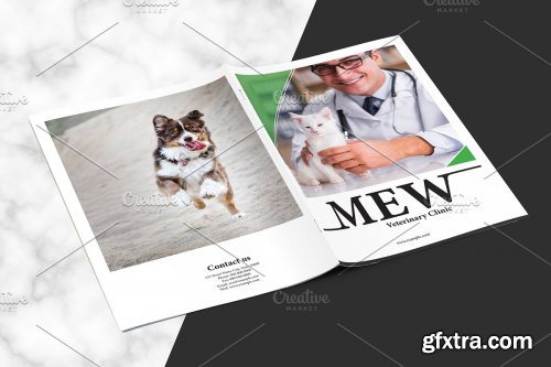 CreativeMarket - Veterinary Clinic Brochure V01 4062768