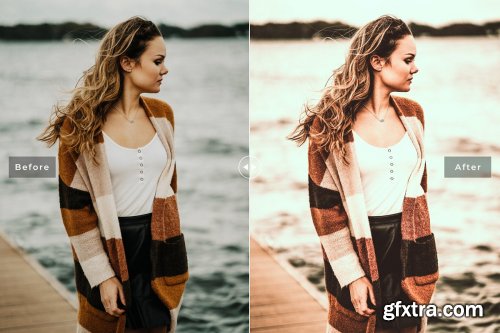 CreativeMarket - Citrus Pro Lightroom Presets 4126786