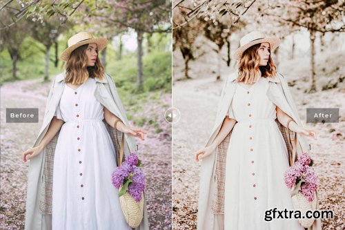 CreativeMarket - Citrus Pro Lightroom Presets 4126786