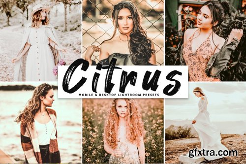 CreativeMarket - Citrus Pro Lightroom Presets 4126786