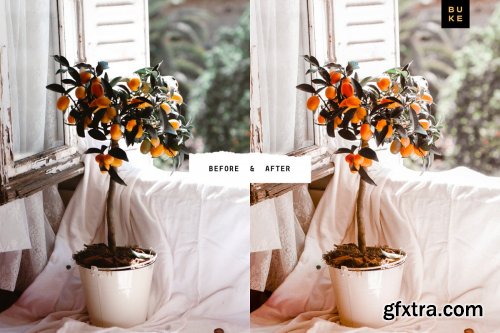 CreativeMarket - 4 Golden Lightroom Presets Bundle 4054537