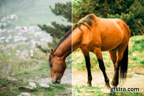 CreativeMarket - 110 Animal Mobile Lightroom Presets 4102328