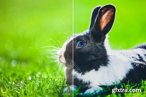 CreativeMarket - 110 Animal Mobile Lightroom Presets 4102328