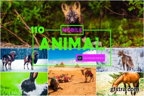 CreativeMarket - 110 Animal Mobile Lightroom Presets 4102328