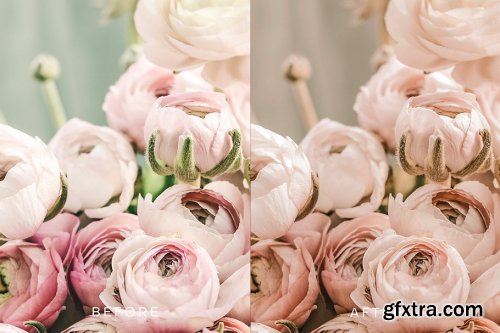 CreativeMarket - DC Pastel Lightroom Preset Pack 2 4101440