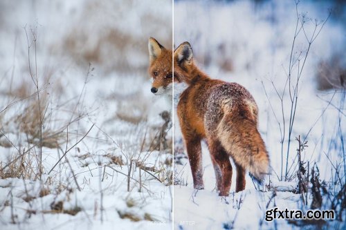 CreativeMarket - 110 Animal Mobile Lightroom Presets 4102328