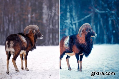 CreativeMarket - 110 Animal Mobile Lightroom Presets 4102328