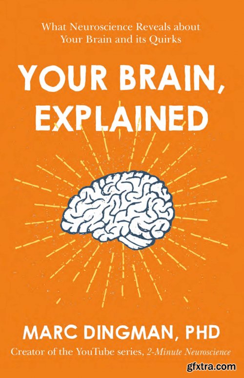 Your Brain, Explained: What Neuroscience Reveals About Your Brain and its Quirks