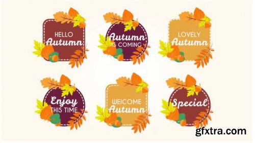 Autumn Badges - After Effects 294372