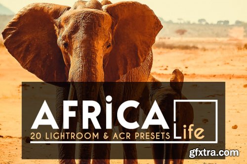 CreativeMarket - 20 Africa Life Lightroom &ACR Preset 4118145