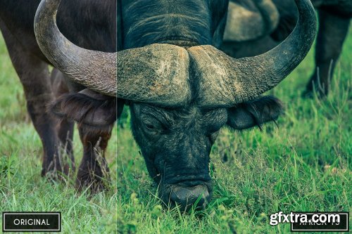 CreativeMarket - 20 Africa Life Lightroom &ACR Preset 4118145