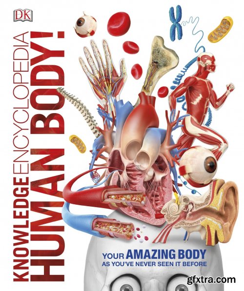 Knowledge Encyclopedia Human Body!