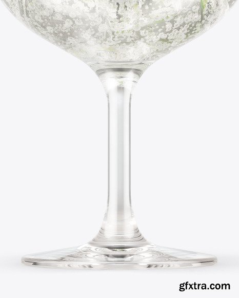 Gin & Tonic Cocktail Glass Mockup 49836