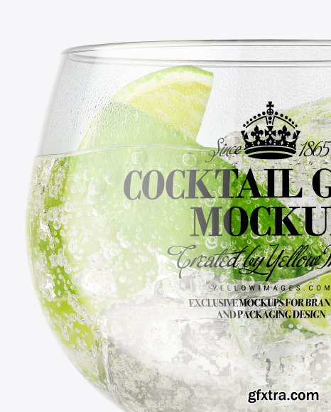 Gin & Tonic Cocktail Glass Mockup 49833
