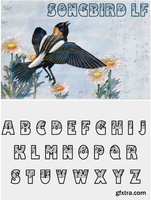 Songbird LF Font