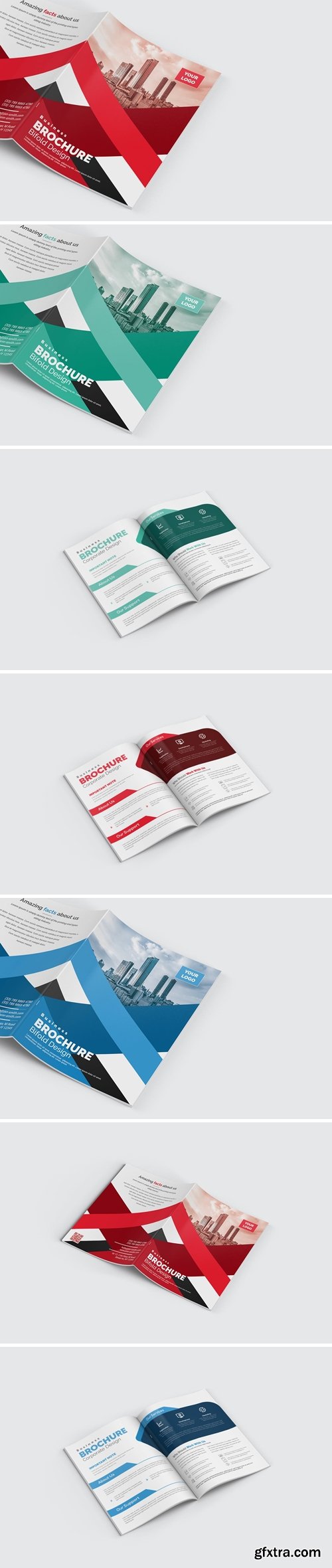 Bifold Brochure