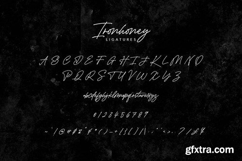 CM - Ironhoney Signature Font 4165713