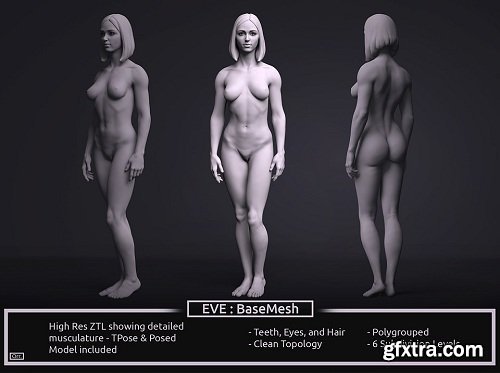 Female BaseMesh - Eve - ZTool 4R8