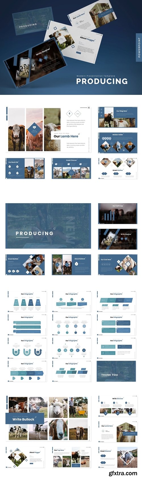 Producing Powerpoint, Keynote and Google Slides Templates