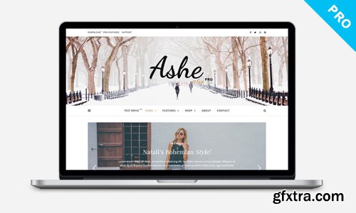 WP-Royal - Ashe Blog Pro v3.5.3 - WordPress Theme