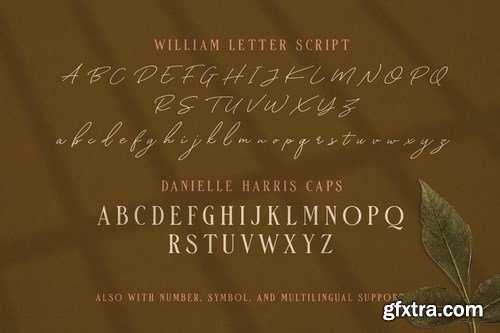 CM - William Letter Signature Script 4170456