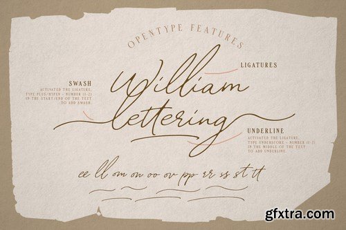 CM - William Letter Signature Script 4170456