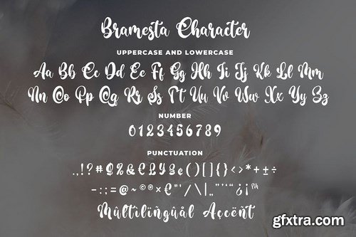 Bramesta - Modern Bold Script