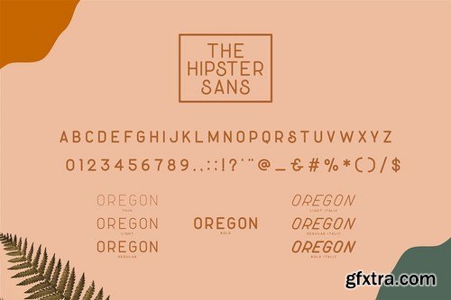 Hipster Style Script and Sans Typeface