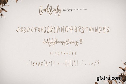 Carlcosby Font Script