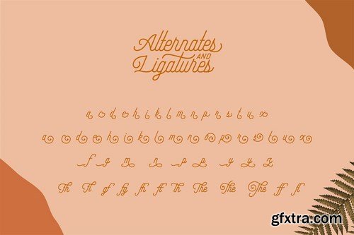 Hipster Style Script and Sans Typeface