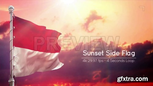 Indonesia Flags Pack 228589