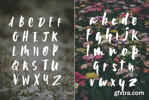 CM - Wildflower Font 4171044