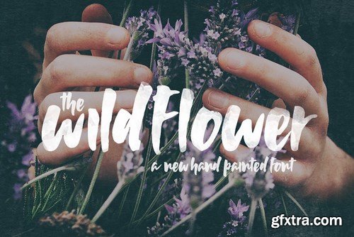 CM - Wildflower Font 4171044