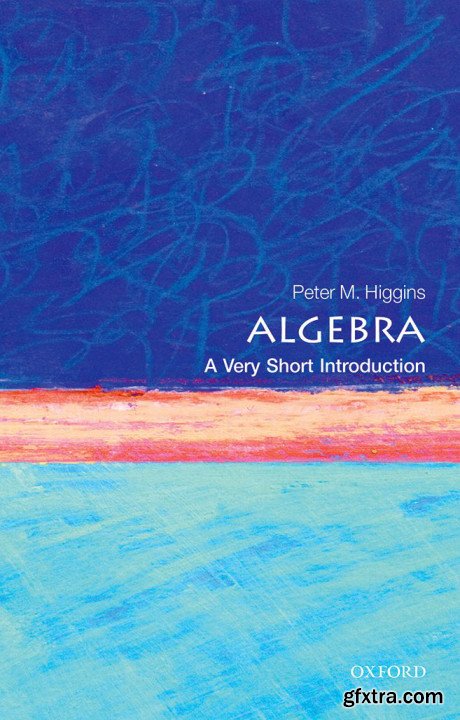 Algebra: A Very Short Introduction (Very Short Introductions)