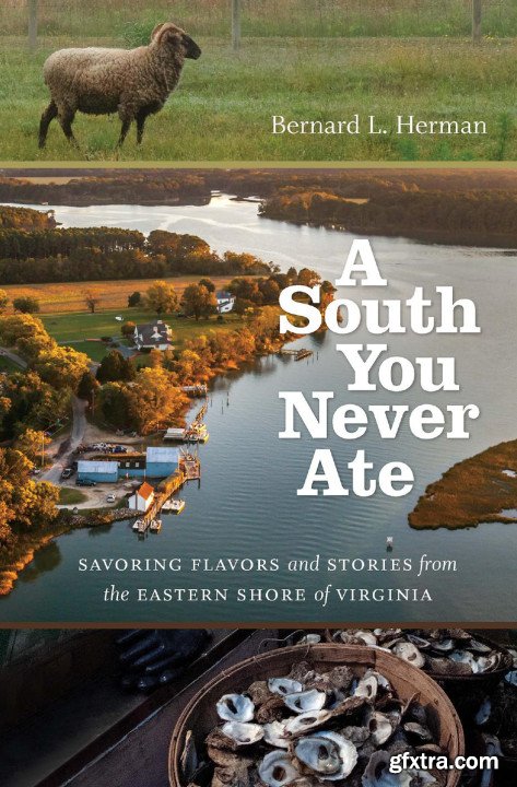 A South You Never Ate: Savoring Flavors and Stories from the Eastern Shore of Virginia