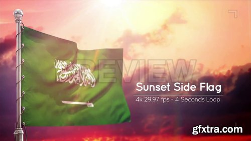 Saudi Arabia Flags Pack 219138