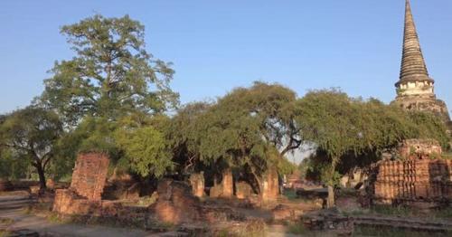 Ancient Temple Wat Phra Si Sanphet in Ayuthaya - 89RVKSW