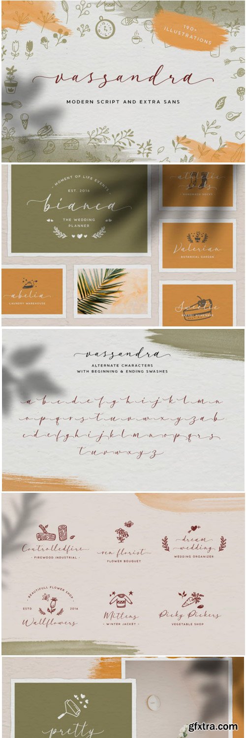 Vassandra Script Font