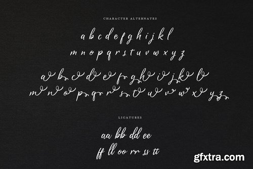 Prishilly Modern Calligraphy Font