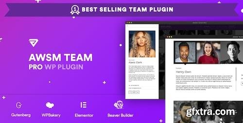 CodeCanyon - The Team Pro v1.6.0 - Team Showcase WordPress Plugin - 17521235