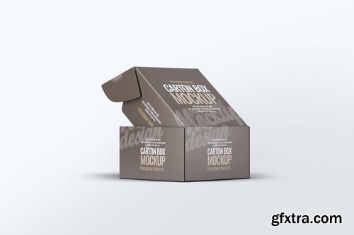 Carton Box Mock-Up v.1