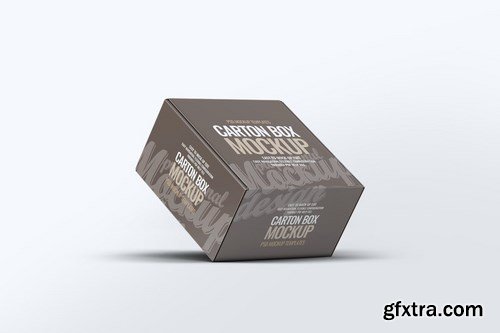 Carton Box Mock-Up v.1