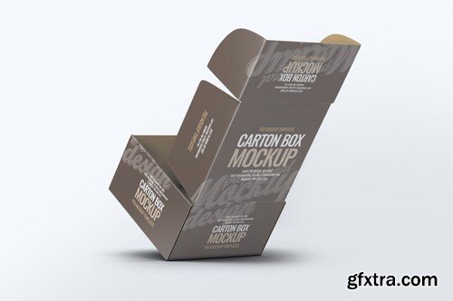 Carton Box Mock-Up v.1