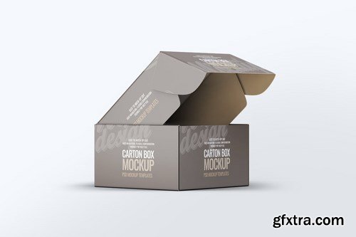 Carton Box Mock-Up v.1