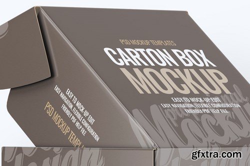 Carton Box Mock-Up v.1