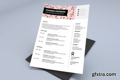 Resume CV Template Pro