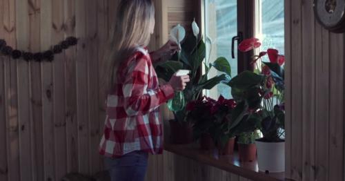 Woman Watering Flowers with a Spray Gun - XB24YKZ