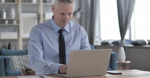 Excited Gray Hair Businessman Celebrating Success, Working on Laptop - RHD8FJM