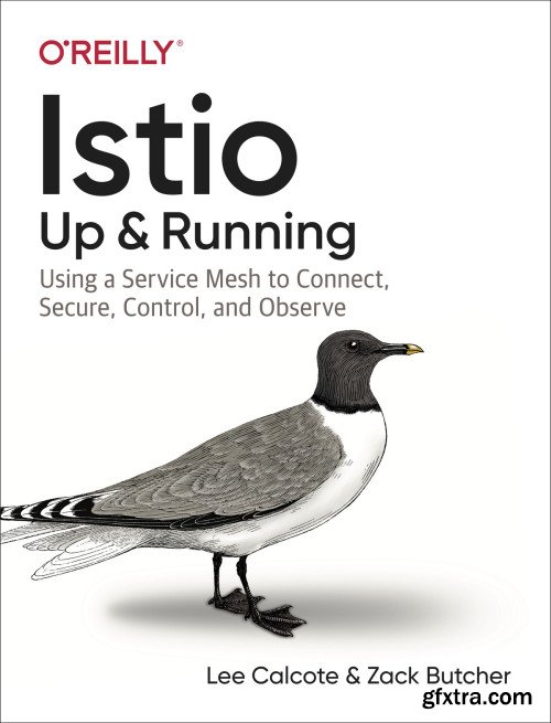 Istio: Up and Running: Using a Service Mesh to Connect, Secure, Control, and Observe